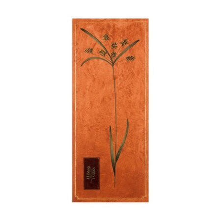 Trademark Fine Art Pablo Esteban 'Ornamental Grass On Orange' Canvas Art, 10x24 ALI46152-C1024GG